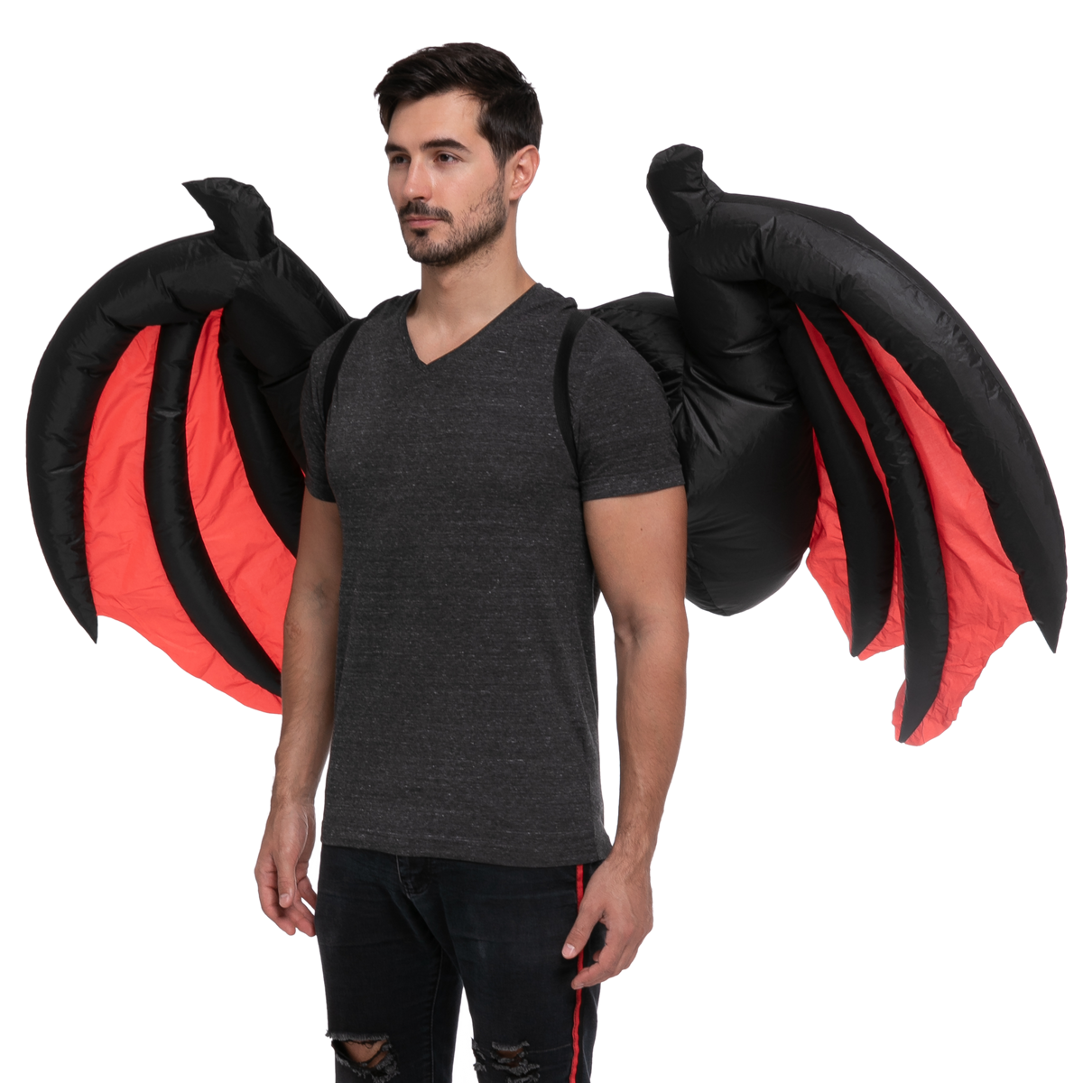 Demon Wings 
