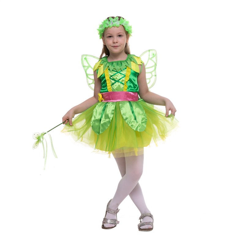 Green Fairy Costume main image 1