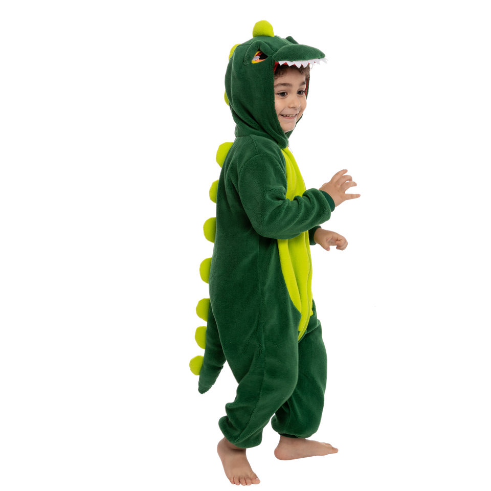 Childrens dinosaur discount onesie