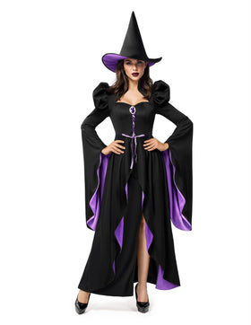 Classic Witch Womens Halloween Costumes