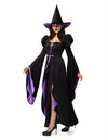 Classic Witch Womens Halloween Costumes