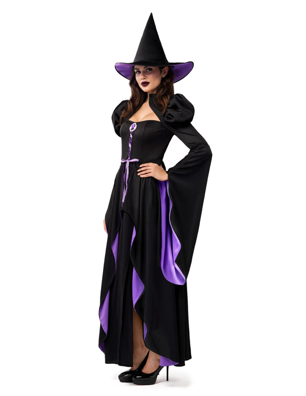 Classic Witch Womens Halloween Costumes