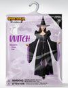 Classic Witch Womens Halloween Costumes