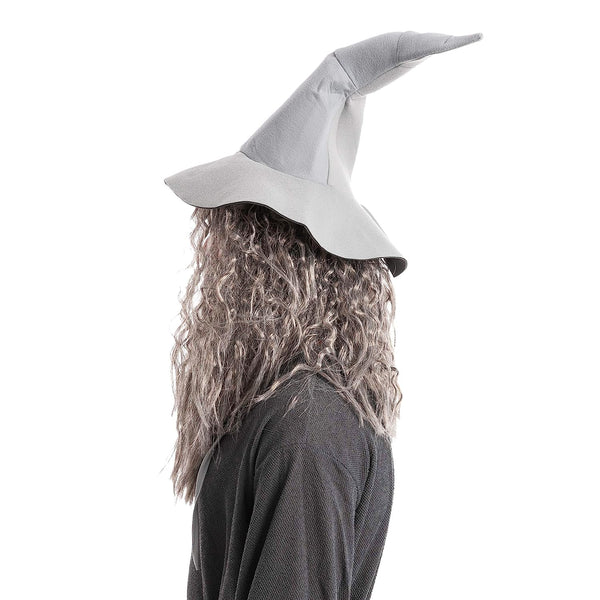 Men Grey Wizard Wig with Beard Cosplay- Adult