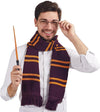 Wizard costume accessories set with glasses, tie, wand and scarf