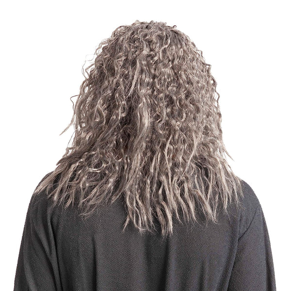 Men Grey Wizard Wig with Beard Cosplay- Adult