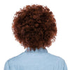 Brown Afro Wig with Beard - Adult