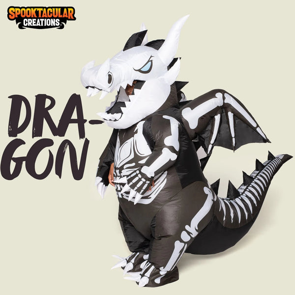 Full Body Dragon Skeleton