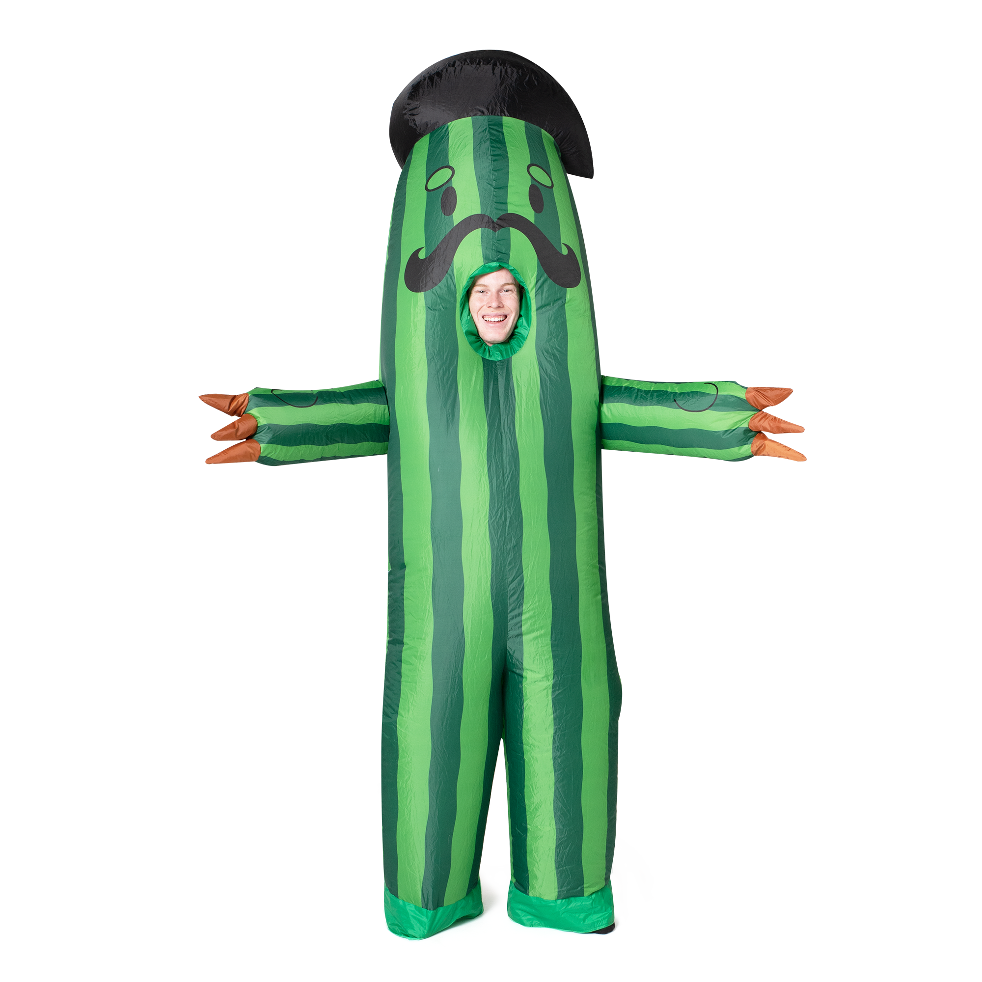 cactus suit Full body Cactus inflatable costume
