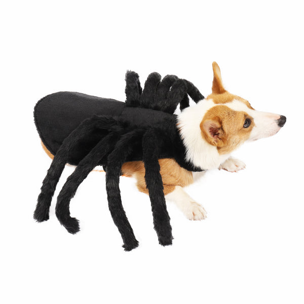 Pet Spider Costume