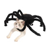 Pet Spider Costume