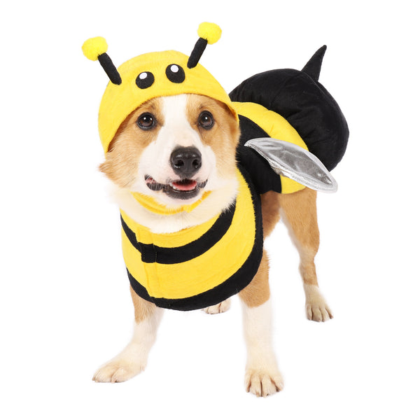 Bee Dog Cute Costume