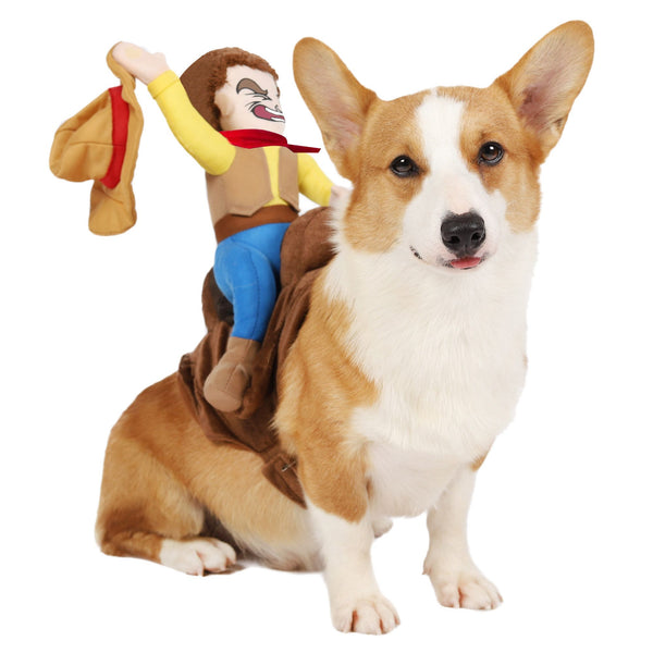 Cowboy Rider Dog Costume