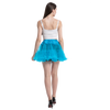 Petticoat Tutu Costume (Blue)