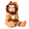 Lion Costume - Child