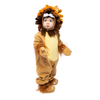 Lion Costume - Child