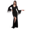 Black Floor Length Gothic Dress - Adult