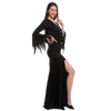 Black Floor Length Gothic Dress - Adult