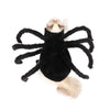 Pet Spider Costume