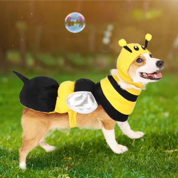 Bee Dog Cute Costume