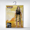 King Pharaoh Costume - Adult