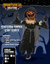 Scarecrow Pumpkin Costume - Child