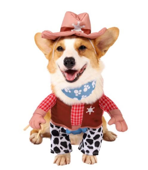 Cowboy Dog Costume