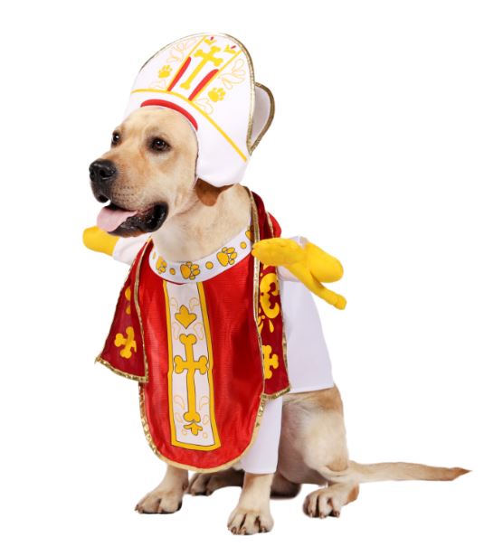 Pope Dog Funny Costume