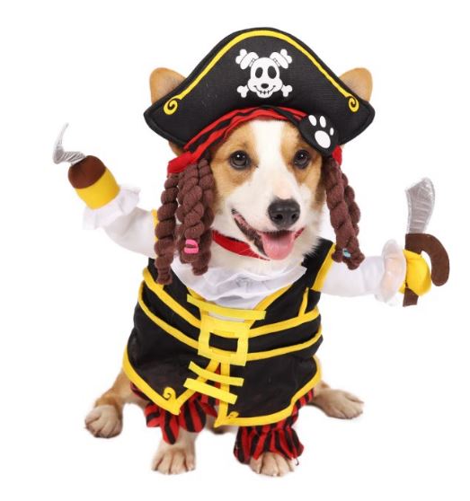 Pirate Dog Funny Costume