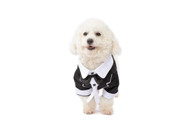 Cute Tuxedo Pet Costume