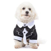 Cute Tuxedo Pet Costume