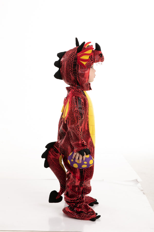 Dragon Costume Cosplay - Child