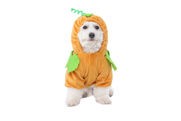 Pumpkin Pet Costume
