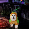 Pumpkin Pet Costume