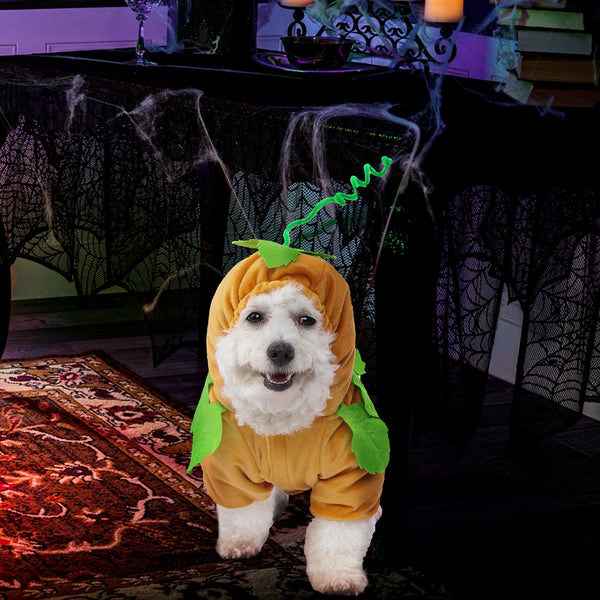 Pumpkin Pet Costume