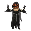 Scarecrow Pumpkin Costume - Child